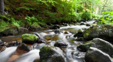Almanya 'nın Baden-Wuerttemberg bölgesindeki Haslach Vadisi' nde.