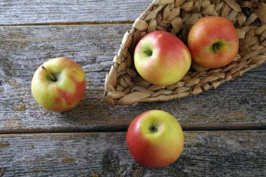 Kırsal alanda çeşitli organik elmalar