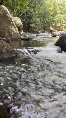 Doğal bir orman ya da ormandaki karanlık kayaların üzerinden güçlü bir şekilde akan berrak suyun yakın görüntüsü. Güneş ışığı hareketli suyu yansıtır, yemyeşil yeşillik arka planda görünür, dingin ve canlı bir doğal manzara yaratır..