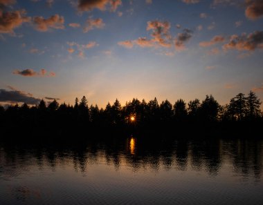 Ormanda güzel bir gün batımı