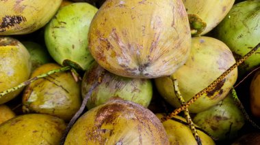 Saplı hindistan cevizleri ve katmanlı yüzey yığınları.