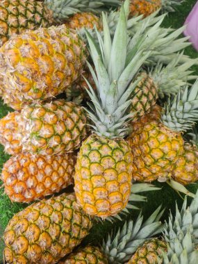 Olgun ananas meyveleri birlikte sergilenir.