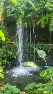 Etrafı yeşilliklerle çevrili yumuşak şelale göle akıyor.