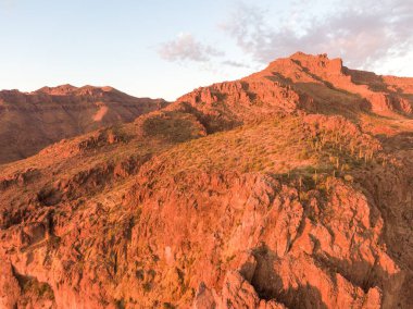 Altın Kanyon, AZ 'deki güneşten sırılsıklam olmuş Batıl inanç Dağları' nın insansız hava aracı görüntüsü. Altın saat ışığı engebeli volkanik kaya yüzeylerinde ve çöl sırtlarında parlar. Uçsuz bucaksız Sonoran Çölü 'nün üzerindeki devasa uçurum kulesi yumuşak, boyalı günbatımı gökyüzünün altında..