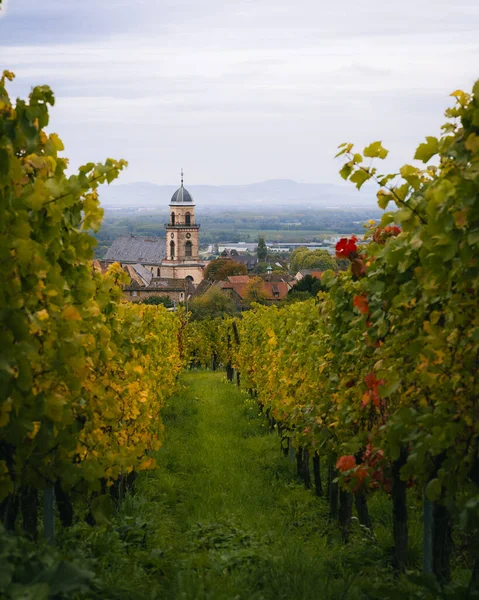 Saint-Hippolyte Kilisesi Saint-Hippolyte Alsace Fransa 'daki üzüm bağlarından geçiyor.