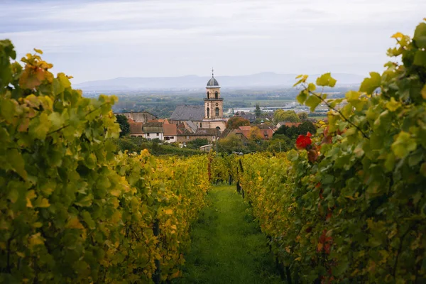Saint-Hippolyte Kilisesi Saint-Hippolyte Alsace Fransa 'daki üzüm bağlarından geçiyor.