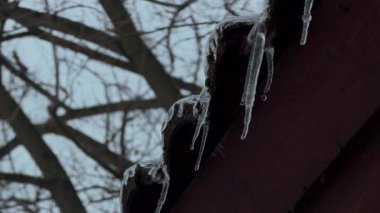 Atmosferik kış görüntüleri, eriyen sarkıtları ve yumuşak arkaplanı ağaç dallarına odaklıyor.