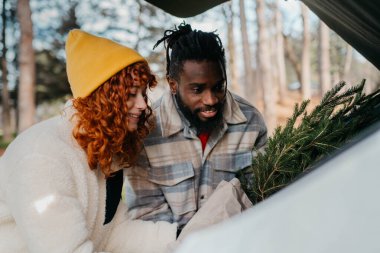 Mükemmel bir Noel ağacı bulduk Yüksek kalite fotoğraf Mükemmel bir Noel ağacı bulduk