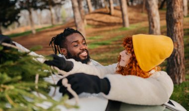 Mükemmel bir Noel ağacı bulduk Yüksek kalite fotoğraf Mükemmel bir Noel ağacı bulduk