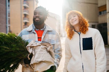Noel ağacını taşıyan gülümseyen bir çift. Yüksek kaliteli fotoğraf çeken, gülen bir çift Noel ağacını taşıyor.