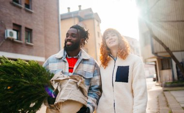 Noel ağacını taşıyan gülümseyen bir çift. Yüksek kaliteli fotoğraf çeken, gülen bir çift Noel ağacını taşıyor.