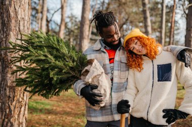Genç çift arabada Noel ağacı paketliyor. Kaliteli fotoğraf. Genç çift arabada Noel ağacı paketliyor.