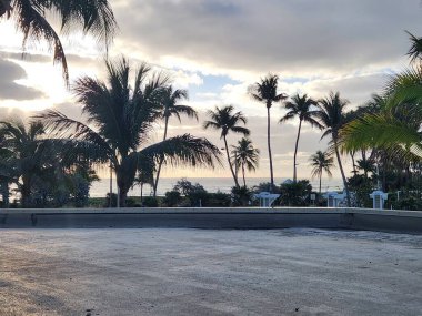 Yumuşak bir günbatımı gökyüzüne ve okyanus ufkuna bakan palmiye ağaçlarının olduğu tropik plaj sahnesi. Seyahat, tatil, rahatlama, tatil, sahil yaşam tarzı ve yaz dönemi kavramları için ideal.