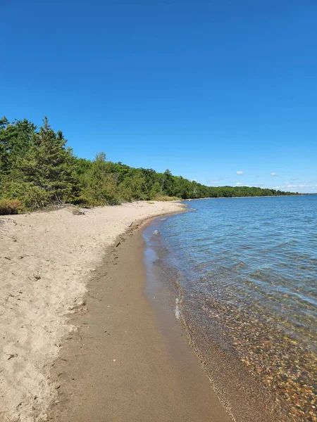 Kıvrımlı kumlu kıyı şeridi, yemyeşil ağaçlarla çevrili parlak mavi bir gökyüzünün altında berrak ve sığ bir göl suyuyla karşılaşıyor. Bu sakin doğal manzara sükuneti ve açık hava kaçışını çağrıştırıyor, bu da onu seyahat, doğa, sağlık ve arka plan kavramları için ideal kılıyor..