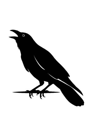 Siyah bir kuşun ayrıntılı silueti tünedi ve şarkı söyledi