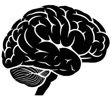 İnsan beyninin ayrıntılı siyah silüeti