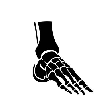 İnsan ayak kemiklerinin ayrıntılı siyah silueti