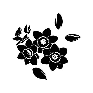 Nergis çiçeklerinin ve dağınık yaprakların çarpıcı siyah beyaz çizimi, tasarım elementleri için mükemmel..