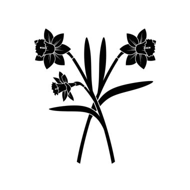 Sapları ve yaprakları olan üç nergis çiçeğinden oluşan çarpıcı siyah beyaz bir siluet, temiz ve minimalist bir tarzda sunuluyor..