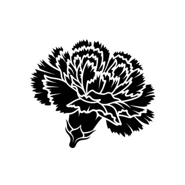 Karmaşık taç yapraklarını ve zarif formunu sergileyen tek bir karanfil çiçeğinin stilize edilmiş siyah beyaz çizimi..