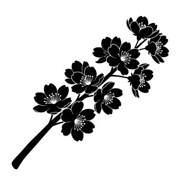 Çiçek açmış bir kiraz çiçeğinin minimalist siyah beyaz çizimi, narin bir çiçek tasarımı sergiliyor..