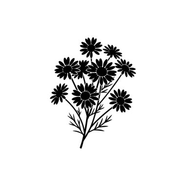 Narin yaprakları ve yaprakları olan bir buket papatya çiçeğinin minimalist siyah beyaz çizimi..