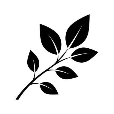 Beyaz arka planda izole edilmiş, birkaç yapraklı, basit, zarif, siyah beyaz bir dalın silueti..