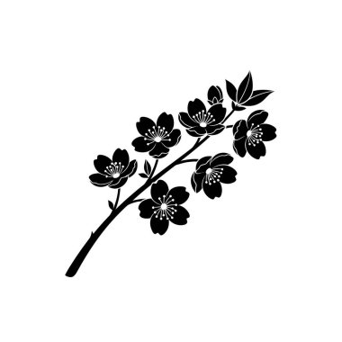 Narin bir kiraz çiçeğinin minimalist siyah silueti, beyaz bir arka planda birkaç açık çiçek sergiliyor..