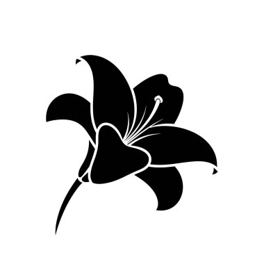 Nilüfer çiçeğinin çarpıcı siyah silueti, zarif taç yapraklarını ve kekemeliğini beyaz arka planda sergiliyor..