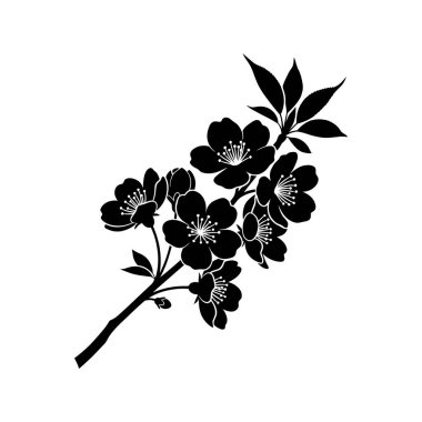 Çok sayıda çiçek ve yapraklı, beyaz bir arka planda duran, kiraz çiçeğinin çarpıcı siyah silueti..