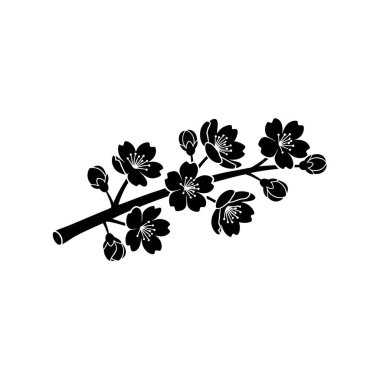 Beyaz bir arka planda izole edilmiş, birden fazla çiçek ve tomurcukları olan, kiraz çiçeğinin minimalist siyah bir silueti..