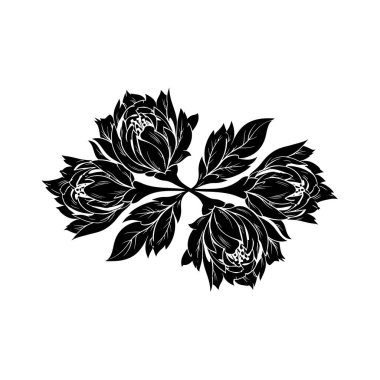 Detaylı taç yaprakları ve yaprakları simetrik olarak sıralanmış beş çiçeğin çarpıcı siyah beyaz çizimi.