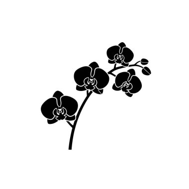 Bir orkide dalının çarpıcı siyah silueti. Birden fazla çiçek ve tomurcuk var. Minimalist tasarımlar için mükemmel..