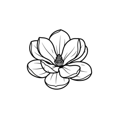 Manolya çiçeğinin güzel ve basit bir siyah beyaz çizgisi çizimi, çeşitli tasarım projeleri için mükemmel..
