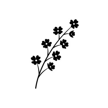 Minimalist tasarımlar için mükemmel, küçük çiçekli narin bir çiçek dalının basit, zarif, siyah beyaz bir çizimi..