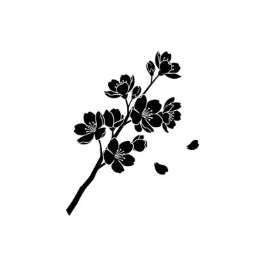Beyaz arka planda birkaç çiçek ve düşen yapraklarla kiraz çiçeğinin siyah silueti..