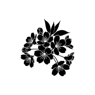 Kiraz çiçeklerinin narin taç yaprakları ve yaprakları olan siyah-beyaz tasarımı tasarım elementleri için mükemmeldir..