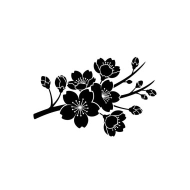 Kiraz çiçeği dalının minimalist siyah silueti, narin çiçekler ve açılmamış tomurcukları beyaz bir arka planda sergiliyor..