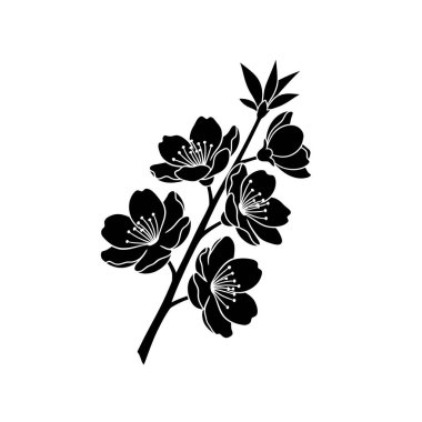 Minimalist siyah bir siluet. Beyaz bir arka planda, birden fazla açık çiçek ve küçük yapraklı bir kiraz çiçeği dalı..