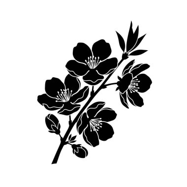 A minimalist black silhouette of a cherry blossom branch with multiple open flowers and buds, set against a clean white background.