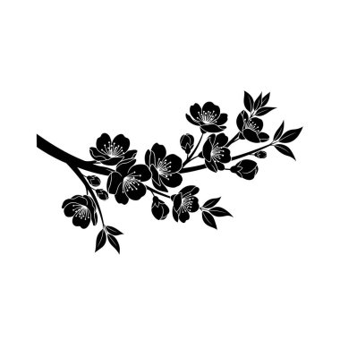 Kiraz çiçeğinin narin çiçekli ve yapraklı minimalist siyah silueti tasarım elementleri için idealdir..