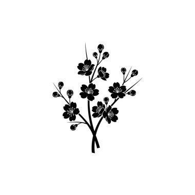 Narin çiçek ve tomurcukları olan, tasarım elementleri için mükemmel bir kiraz çiçeği dalının minimalist siyah ve beyaz silüeti..