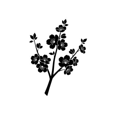 Bir kiraz çiçeğinin çarpıcı siyah silueti, birden fazla çiçek açan, beyaz arka planda izole edilmiş, baharı ve yenilenmeyi simgeleyen.