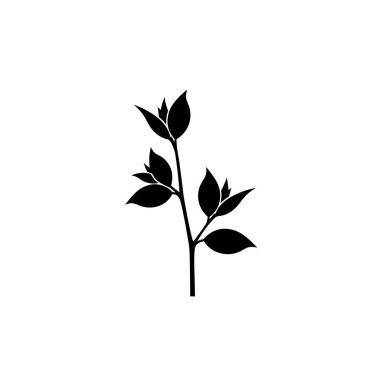 Bir bitki dalının basit ve zarif siyah silüeti. Birkaç yaprak, temiz beyaz bir arkaplan üzerine kurulmuş..
