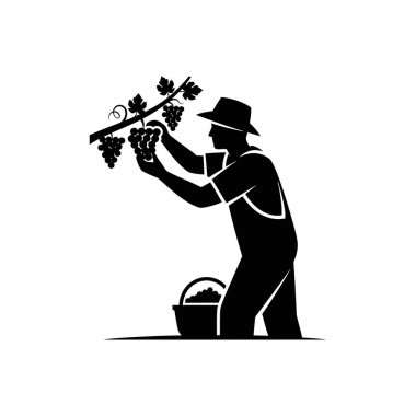 Sarmaşıktan üzüm toplayan bir kişinin silüeti, yakınlarda bir sepet, geleneksel şarap yapımı ya da çiftçiliği tasvir eden.