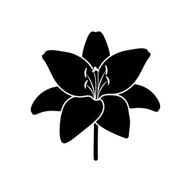 Minimalist siyah bir nilüfer çiçeği silueti. Altı taç yaprağı ve beyaz bir arka plan üzerine kurulmuş görülebilir erkeklik organları..