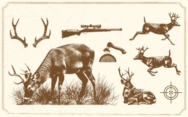 Vahşi av hayvanları, av malzemeleri, geyik ve geyik avı, geyik, geyik, geyik, vahşi geyik, geyik. El çizilmiş vahşi geyik,