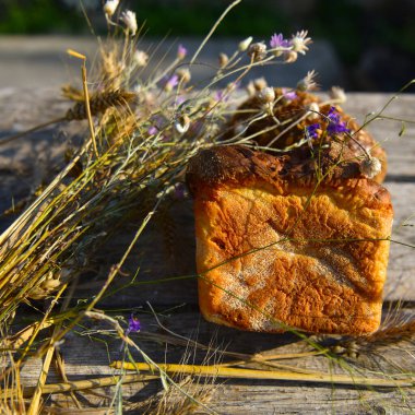 Ekmek ve tahıl saplarıyla hayat devam ediyor.