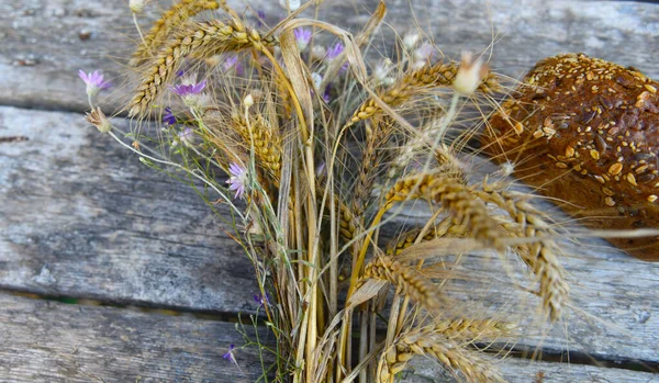 Stilleven Met Brood Stengels Van Graangewassen — Stockfoto