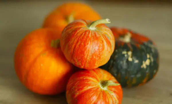 Automne Nature Morte Citrouille Orange Mûre — Photo